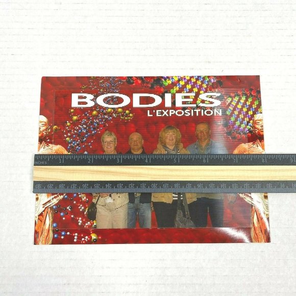 People Bodies Skeleton Shifting 3d 3-d Lenticular Photograph Image Medical Promo - Picture 3 of 5